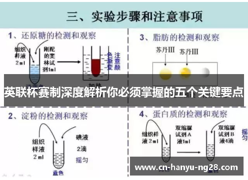 英联杯赛制深度解析你必须掌握的五个关键要点
